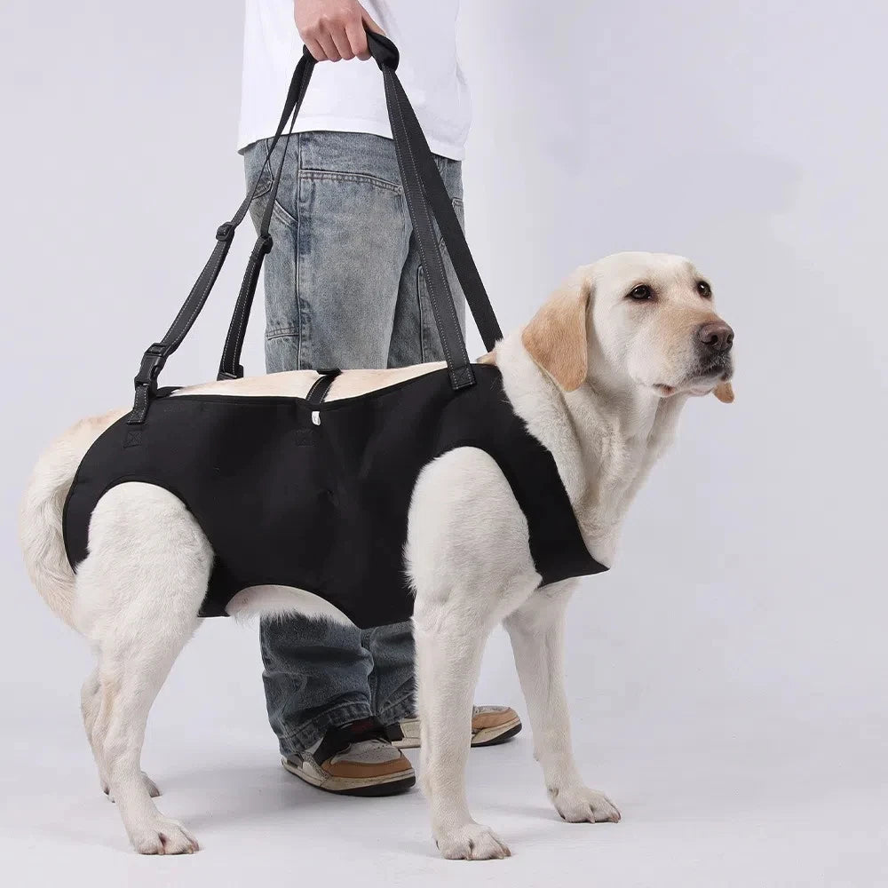 Senior Dog Lift Harness